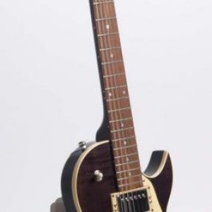 Gerry B - Heritage H535