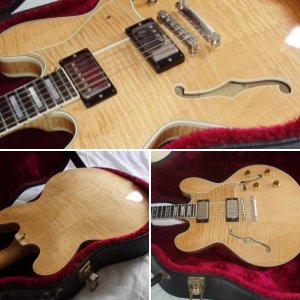 Mark555
