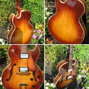 H575 '96 - Almond Sunburst