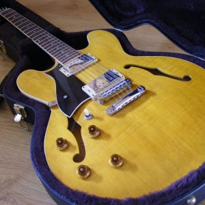 '07 H535 Golden Amber SD 59's