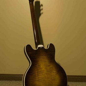 Custom 555 (Mahogany neck/ Rosewood Fretboard) back