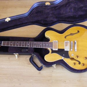 '07 H535 Golden Amber SD 59's