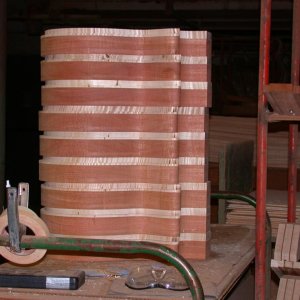'08 PSPI - Stack of Bodies - Rack of Necks