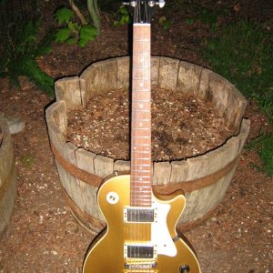'92 H150P Gold Updated with pickup covers & black kn