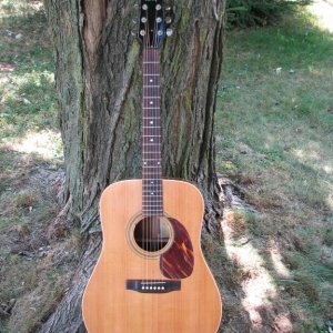 '90 HFT445 Natural