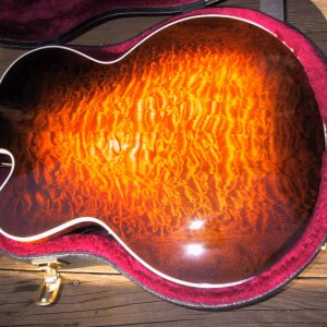Gitfiddler's Golden Eagle (rear view)