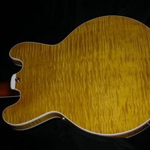 Gitfiddler's H555 (rear body)