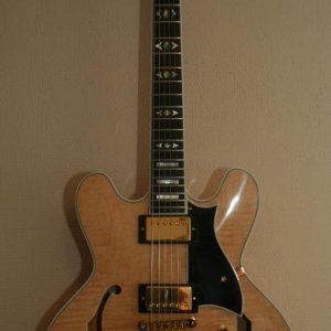 '08 H555 - Antique Natural