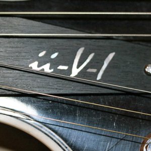 Truss Rod Cover - Sweet 16