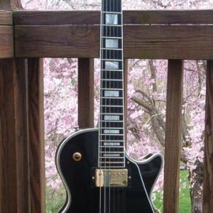 '94 H157 Tuxedo