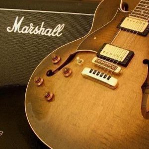 '97 H535 ASB w/ Schaller Golden 50's