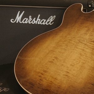 '97 H535 - ASB w/ Schaller Golden 50's Back View