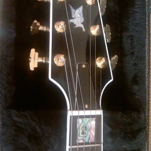 '02 Millennium Eagle 2000 - Amber