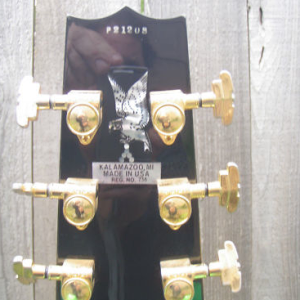 '99 Golden Eagle!!
