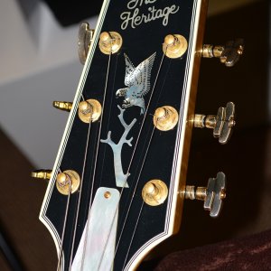 Jay's 2000 Thin body Maple top Golden Eagle