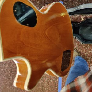 H157 Goldtop
