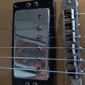 H157 Goldtop