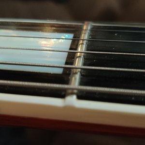 H157 Goldtop