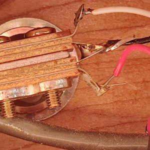 H157 Goldtop