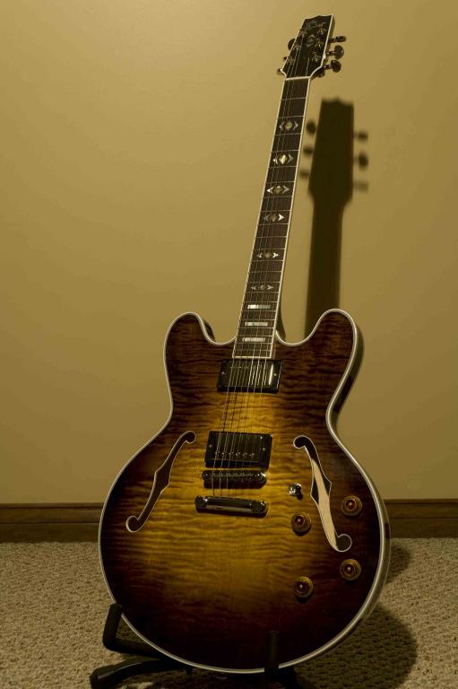 Custom 555 (Mahogany neck/ Rosewood fretboard) front