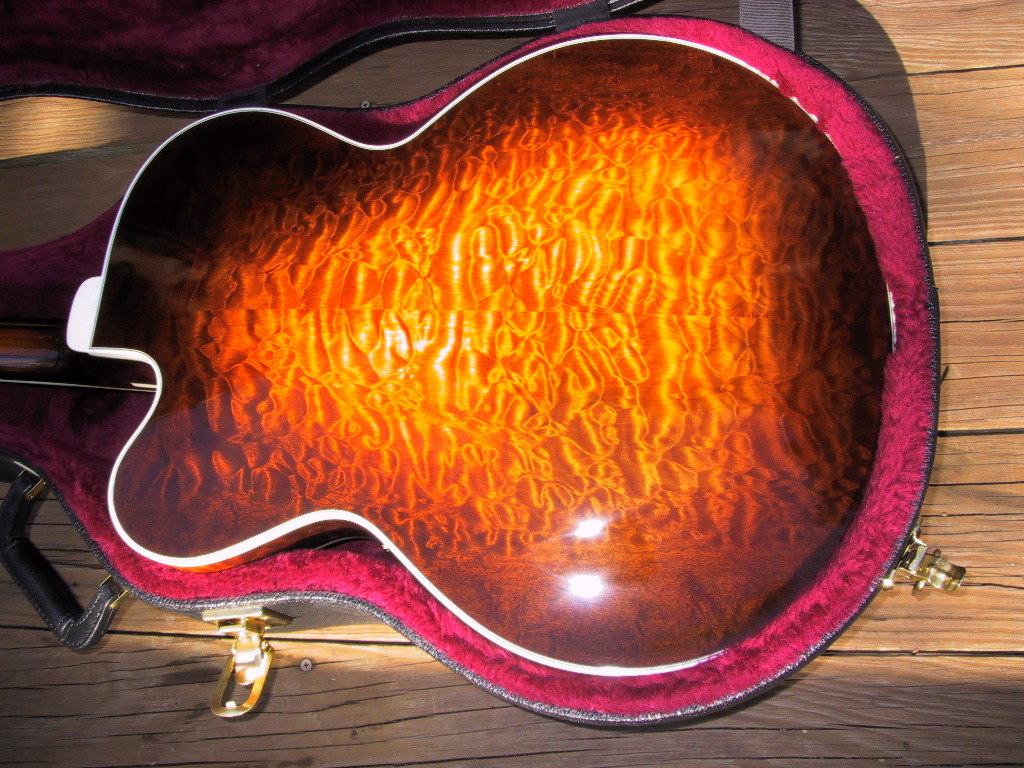 Gitfiddler's Golden Eagle (rear view)