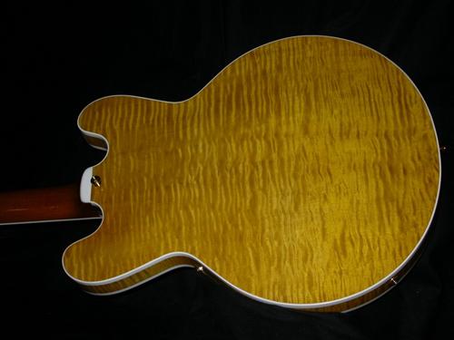 Gitfiddler's H555 (rear body)