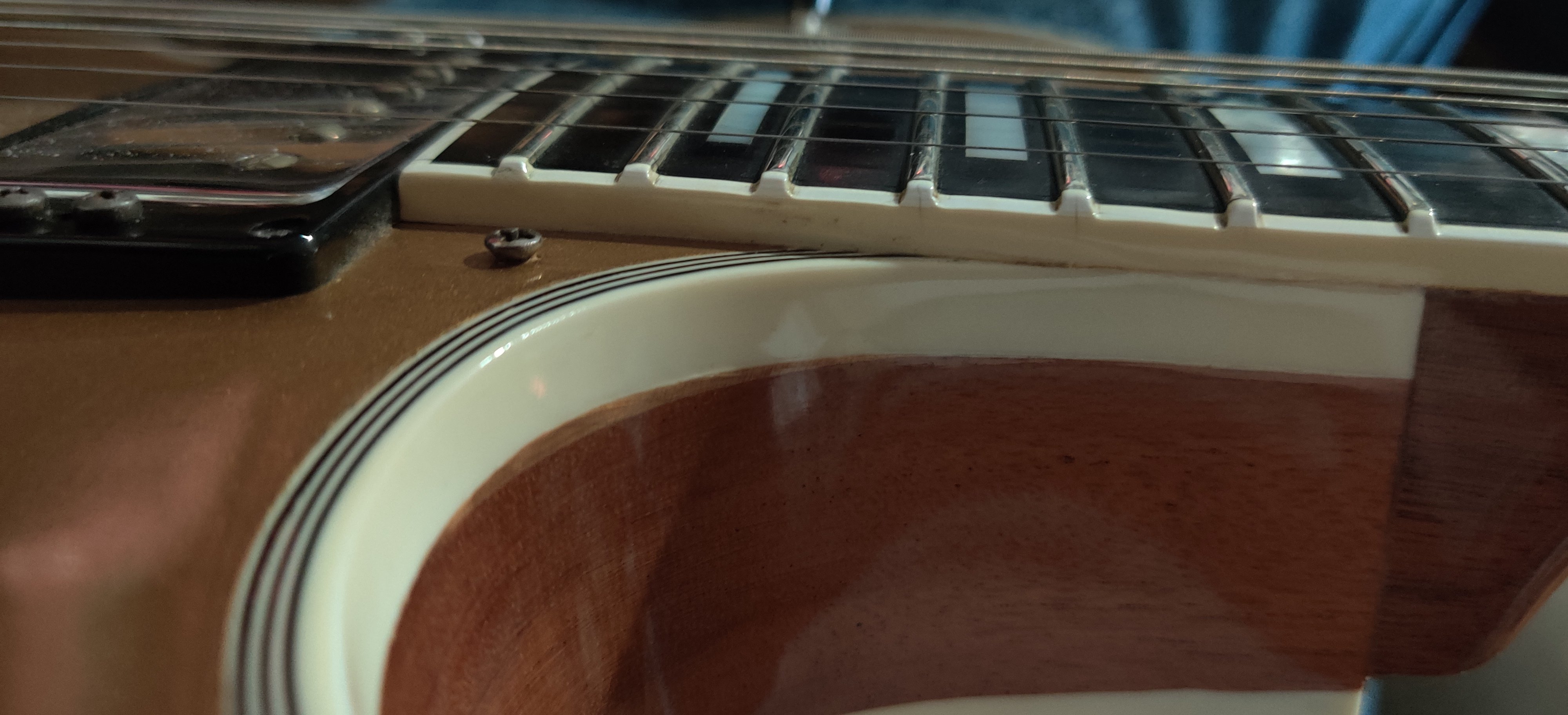 H157 Goldtop