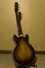 Custom 555 (Mahogany neck/ Rosewood Fretboard) back