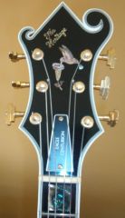 '99 Eagle Centurion headstock