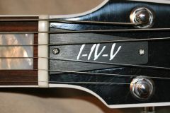 Truss Rod Cover (Custom) - H535