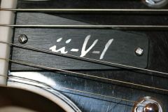 Truss Rod Cover - Sweet 16
