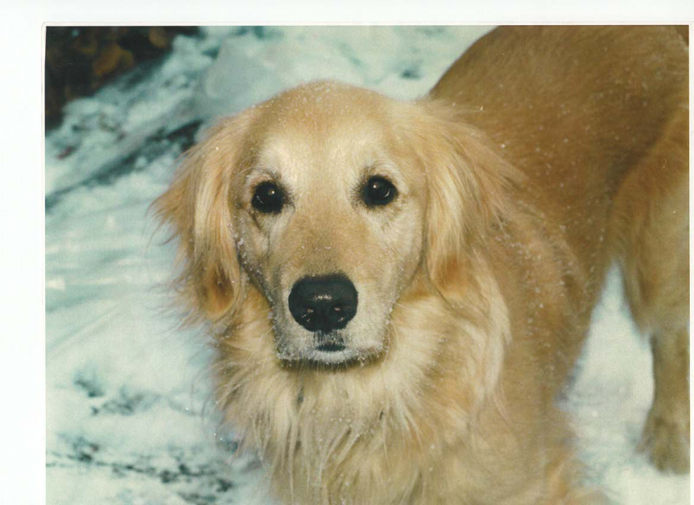 Scan_20171016 (4).png