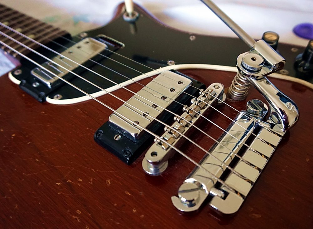 DSC01313-Duesenberg Trem.-rse.jpg