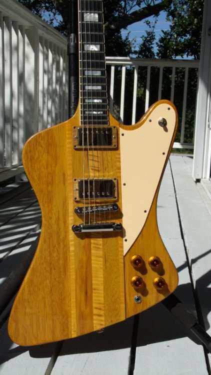 GEDC0659 (450x800).jpg