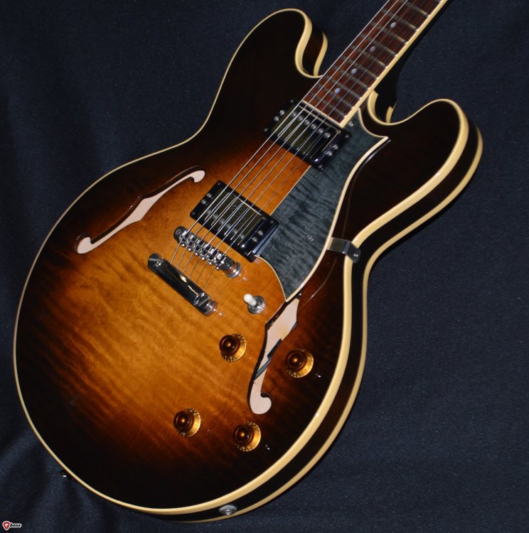 My Heritage Guitar.jpg