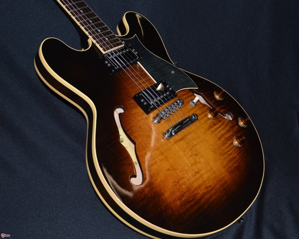 My Heritage Guitar 2.jpg