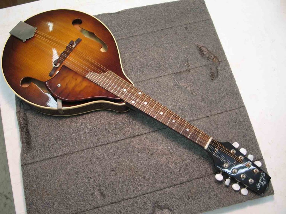 mandolin front.jpg