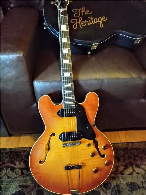 50346189908_21a8d4dc83_c (1).jpg