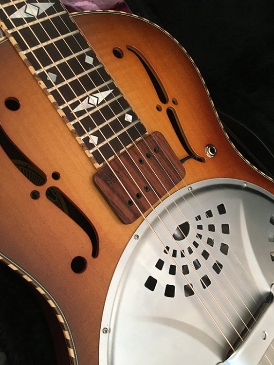 Western D with Krivo.jpg