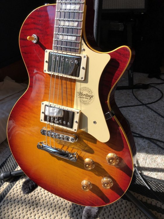 Basking in sunshine.jpg