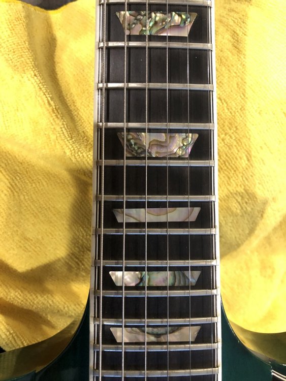 marvbird 1.jpg 3.jpg