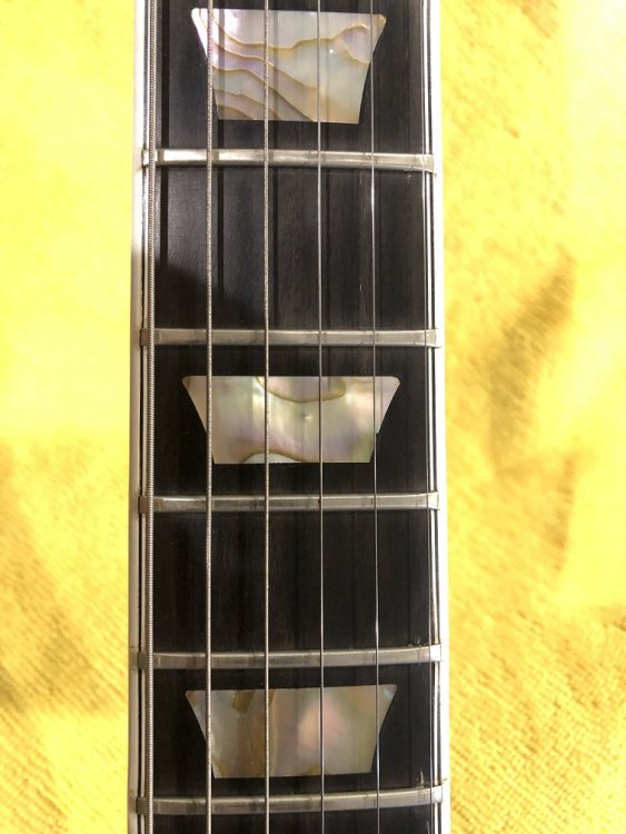 marvbird 1.jpg 2.jpg