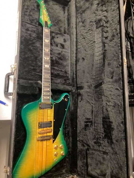 marvbird yellow green.jpg