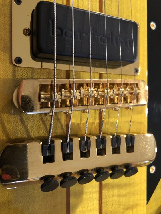 marvbird 1.jpg 4.jpg