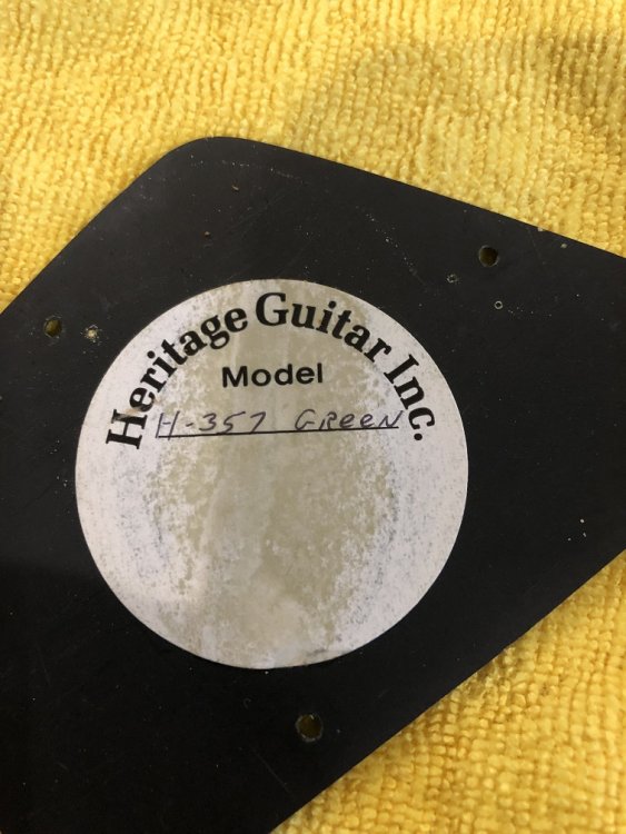 marvbird 1.jpg 6.jpg