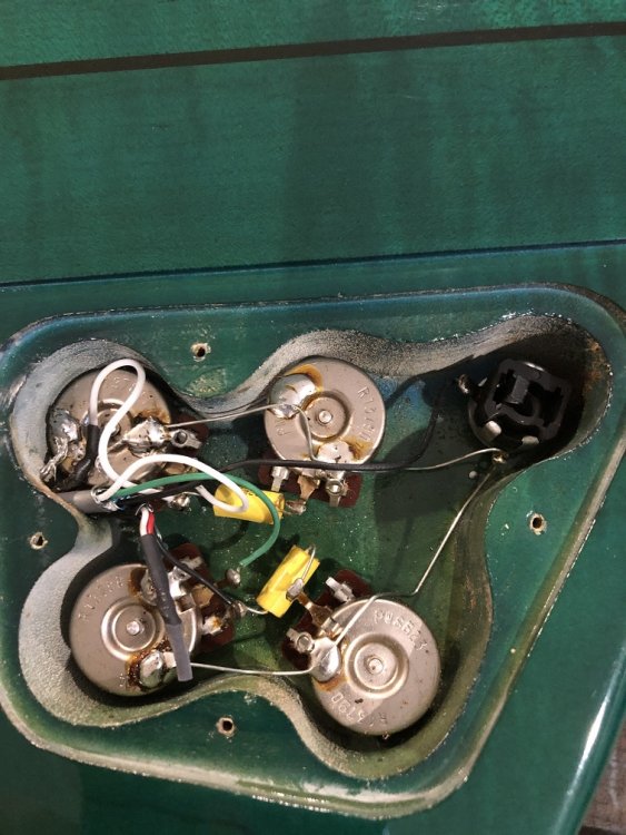 marvbird 1.jpg 7.jpg