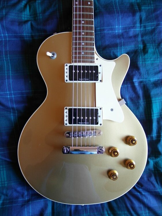 SAM_1538 (1024x768).jpg