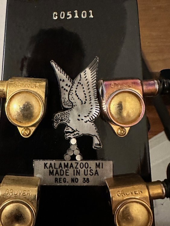 1986 Golden headstock back.jpg