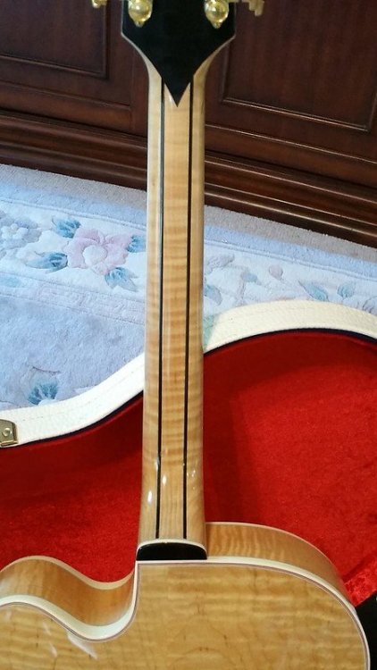 51155693694_6c861eafb7_c (1).jpg