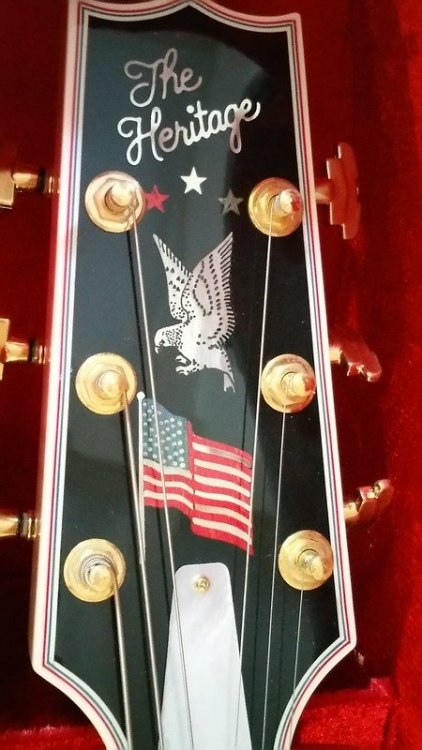 51156014255_4652fee917_c (1).jpg